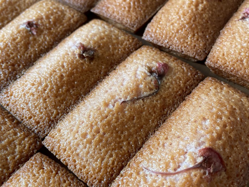 季節の焼き菓子